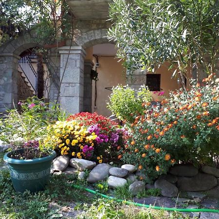 Old House Apartment With Garden Area Мцхета Екстер'єр фото
