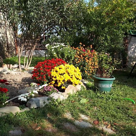 Old House Apartment With Garden Area Мцхета Екстер'єр фото
