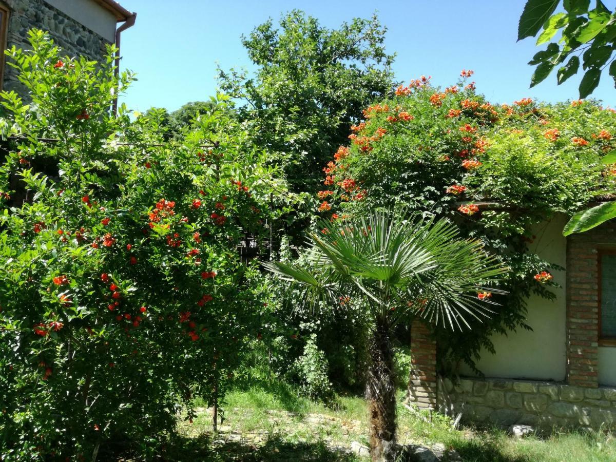Old House Apartment With Garden Area Мцхета Екстер'єр фото