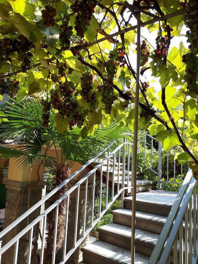 Old House Apartment With Garden Area Мцхета Екстер'єр фото